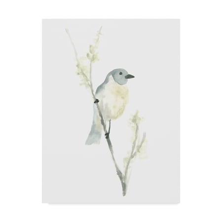 Trademark Fine Art 'Avian Impressions III' Canvas Art by June Erica Vess