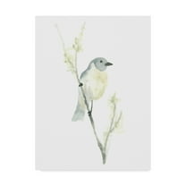 Trademark Fine Art 'Avian Impressions III' Canvas Art by June Erica Vess