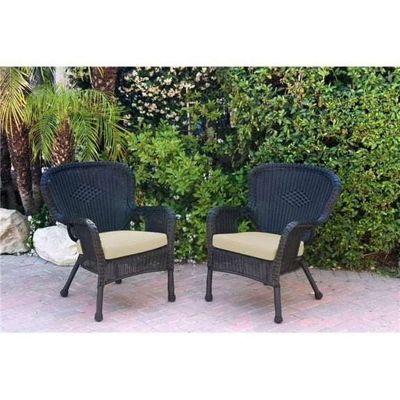 W00214-C-2-FS001 Windsor Black Resin Wicker Chair with Ivory Cushion - Set of 2