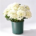thumbnail image 3 of Hydrangea Artificial Flower for Outdoor, 4 Bundles Fake Hydrangea Bush Plant UV Resistant for Outdoors Front Porch Indoor Home Garden Decor, White, 3 of 9