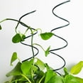 thumbnail image 2 of Tomato Twist Stake,Spiral Tomato Stakes,Twisted Tomato Stakes, Plant Supports Spiral Tomato Cages,Spiral Plant Support for Potted Plants Tomato Rose Vine (5pcs), 2 of 7