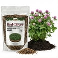 thumbnail image 3 of Old Cobblers Farm™ Wicked Tuff Turf Kentucky Pride Red Clover - Fast-Growing, Resilient Clover Seed for Lawns, Pastures, Cover Crops & Soil Health (5 lbs | 10 lbs | 15 lbs | 20 lbs)(5lbs), 3 of 9