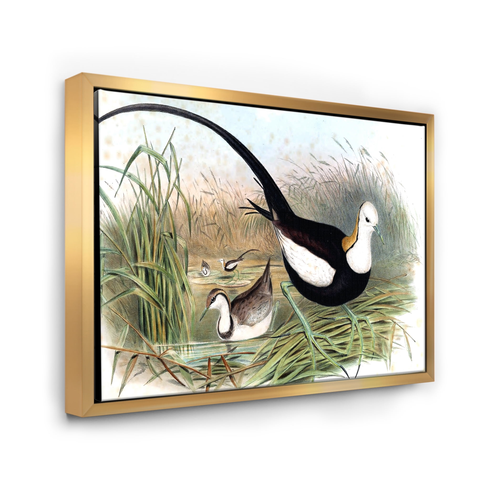Designart 'Vintage Countryside Birds In Lake' Farmhouse Framed Canvas Wall Art Print