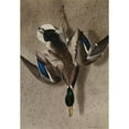 thumbnail image 3 of Ferdinand von Wright 11x14 Black Modern Framed Museum Art Print Titled - Hanging Mallard (1834), 3 of 5