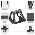 thumbnail image 6 of Picia Vintage Floral Butterflies No-Pull Dog Harness Reflective Front Clip Vest with Handle,Step-in Air Dog Harness,Adjustable 2 Metal Rings 4 Buckles,Easy to Put on & Take Off Large, 6 of 9