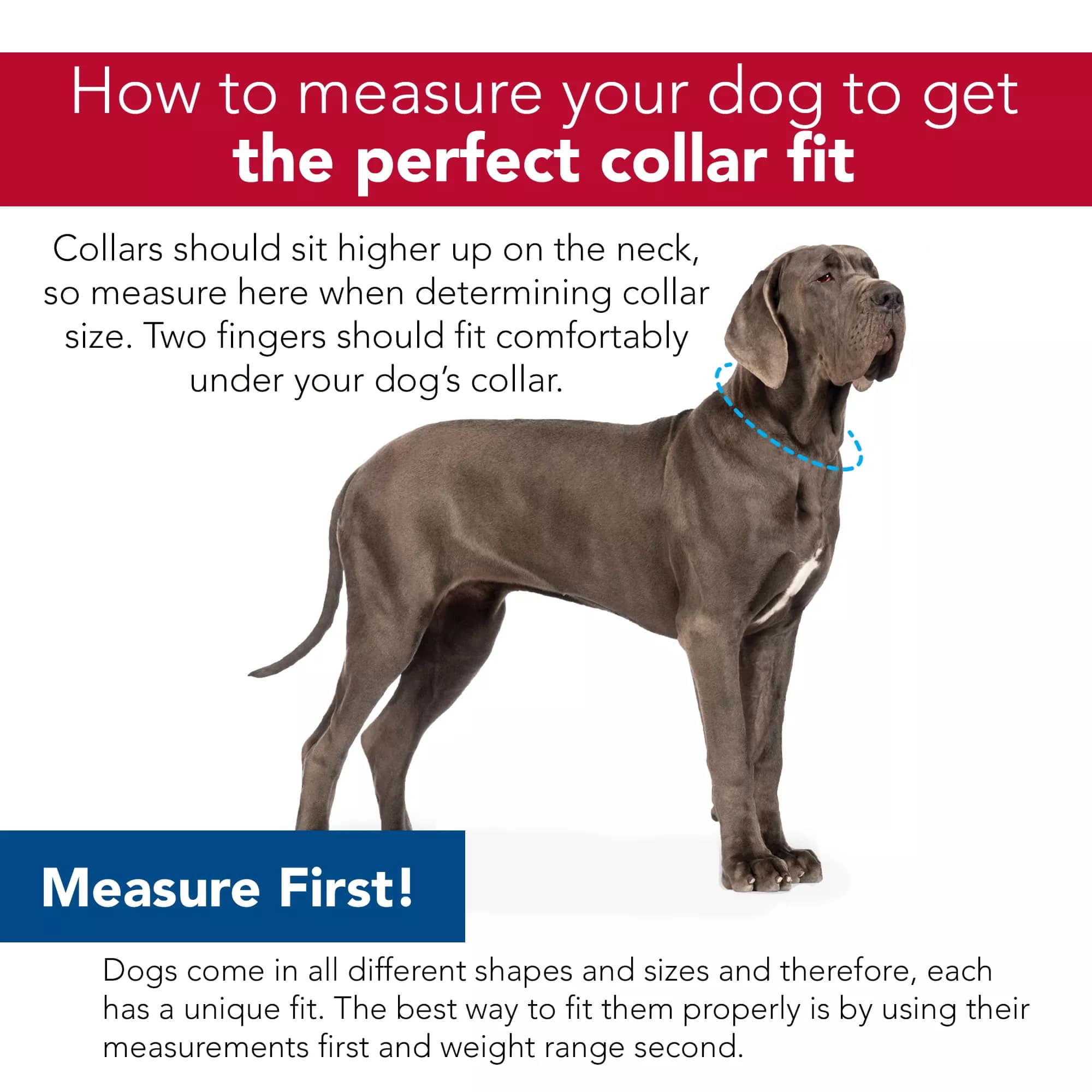 Pro: Active Woven Reflective Dog Collar - Cobalt Crossed - Small - 5/8", Adjustable 8-12" Neck, Lightweight & Breathable, Pet Safety Reflective Strips