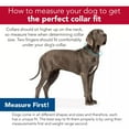 thumbnail image 4 of Pro: Active Woven Reflective Dog Collar - Violet Purple - Small 5/8" - Adjustable 8-12" Neck, Lightweight & Breathable, Pet Safety Reflective Strips, 4 of 9
