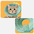 thumbnail image 4 of Cône de Chat en Forme de Dinosaure de Style Chien Doux Cône de Chat Réglable Cône de Dinosaure en Forme de Colliers pour Petits Animaux de Taille Moyenne, 4 of 5