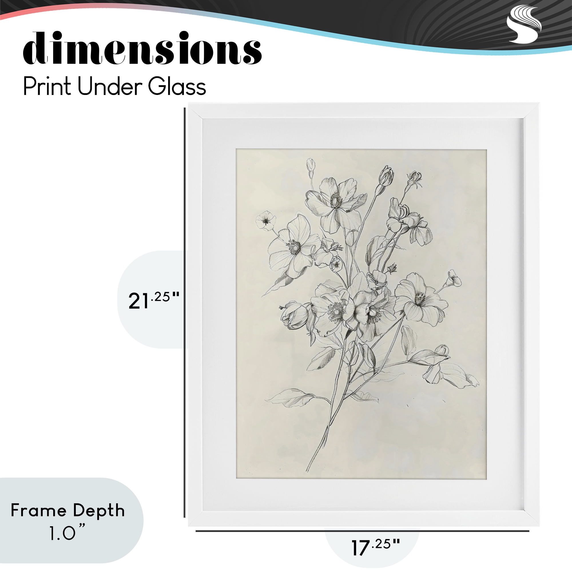 Stupell Industries Wildflower Outline Study White Framed Print Under Glass, design by Creative Studio