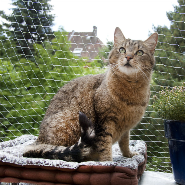 Valla para mascotas, red de seguridad para balcones, valla protectora de nailon para niños y mascotas, red antidepresión para gatos