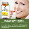 thumbnail image 4 of (2 PACK) Mullein Leaf Gummies 2000mg, Herbal Dietary Supplement, Mullen for Lungs Mullein Capsules, 120 Count, 4 of 9