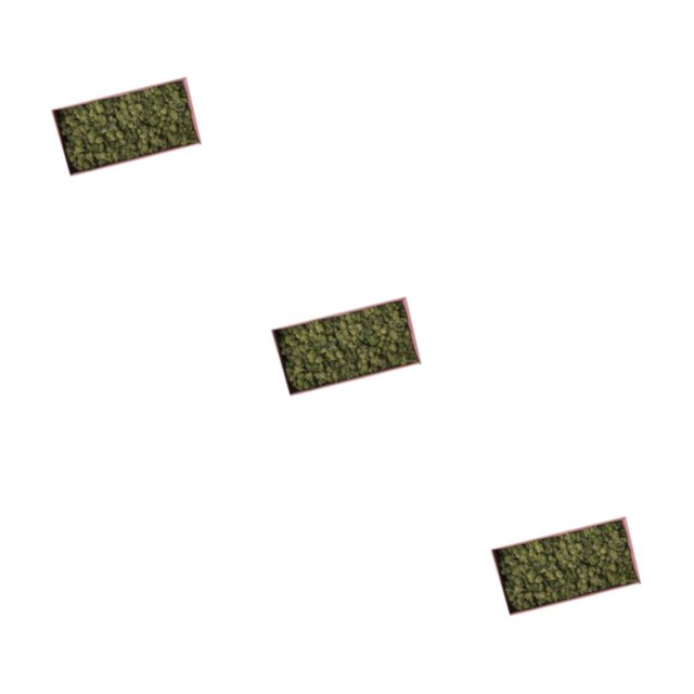 Billuyoard Musgo de reno seco Natural tratado artesanías de musgo inmortal DIY decoración Floral verde Type1 NO1