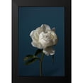 thumbnail image 2 of 1x Studio III 13x18 Black Modern Framed Museum Art Print Titled - Peony_6, 2 of 5