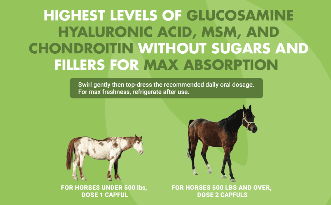 Liquid-Vet Hock & Joint Support Supplement for Horses, Max Strength Glucosamine, MSM, Hyaluronic Acid, Liquid, Peppermint Flavor