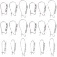 thumbnail image 1 of 18 Pcs Fils d'Oreilles de Rein en Acier Inoxydable Hypoallergéniques Boucles d'Oreilles Crochets de Poisson, 1 of 8