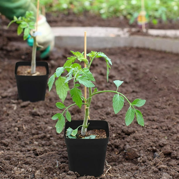 Acheter Jardinière plante verte maison bureau Pot de fleur Mini Pots carrés  plateaux décor plante en plastique