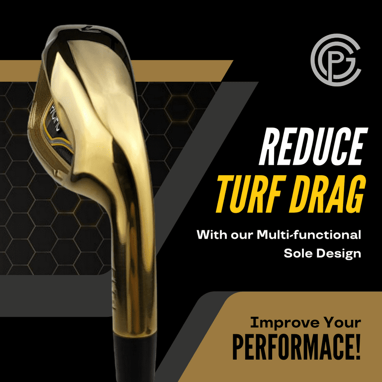 Pacific Golf Clubs FLT-1 Gold Iron Set #6 7 8 9 PW SW Regular Flex