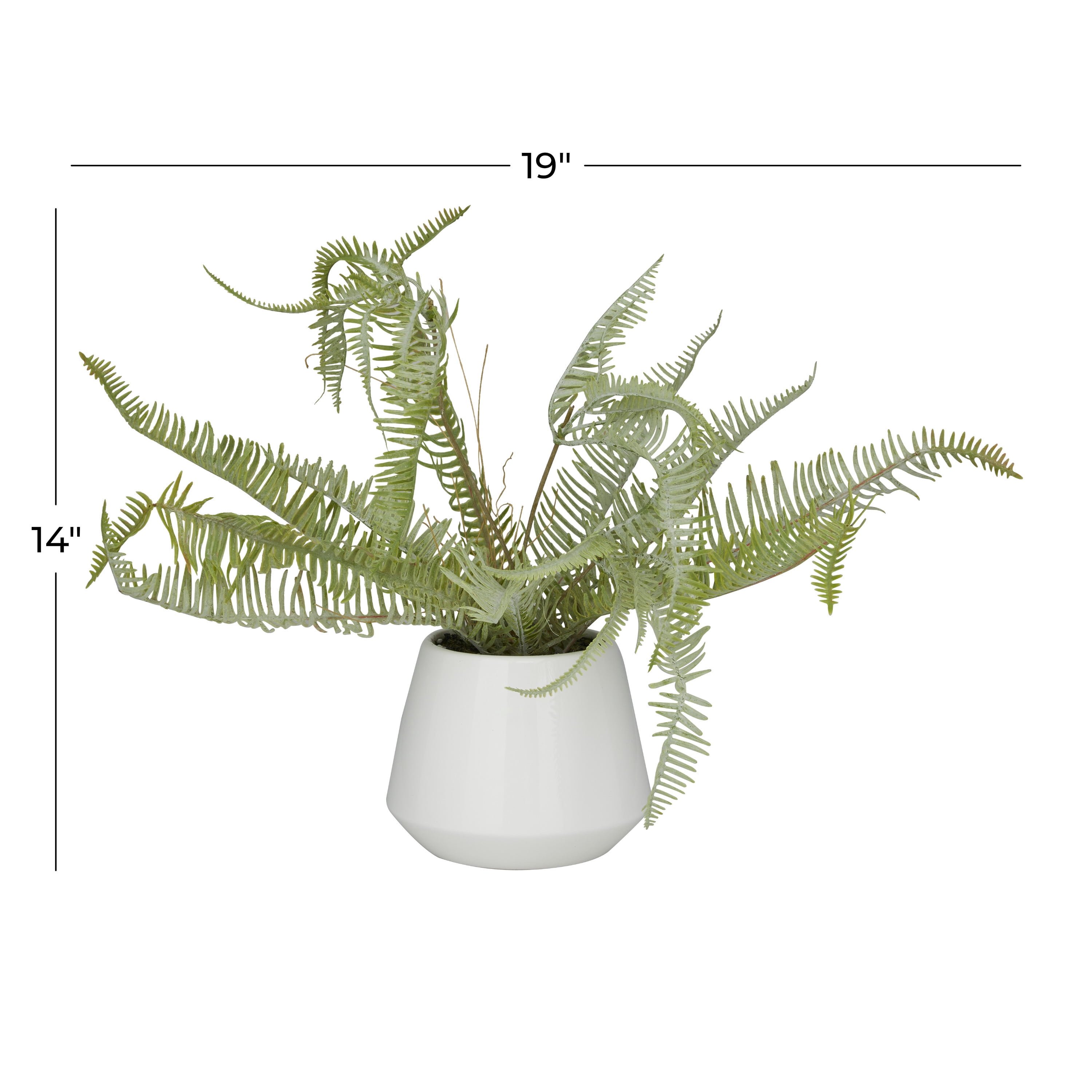 DecMode 14" Artificial Fern Plant in Realistic Leaves and White Ceramic Pot