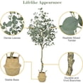 thumbnail image 2 of Eucalyptus Plant Artificial 6ft，Faux Eucalyptus Plant in Straw Pot with Silver Dollar Leaves, Home Office Decor Indoor, 1 Pack, 2 of 6