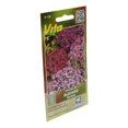thumbnail image 2 of Semillas Aubrietia 0.1 Gr Morado Vita, 2 of 3