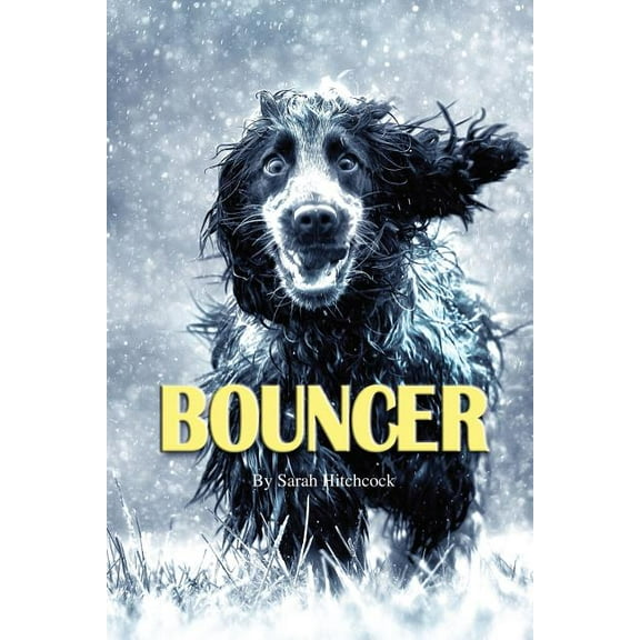 Bouncer, (Paperback)