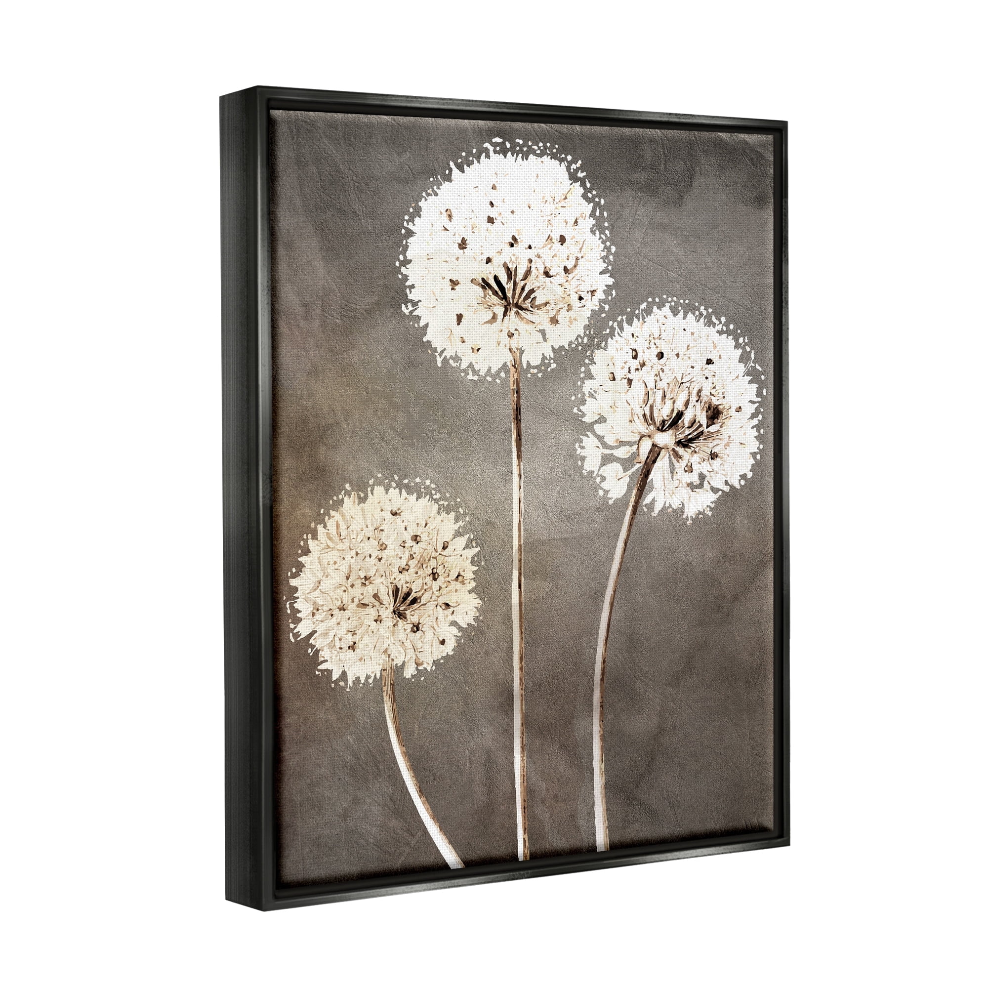 Stupell Industries Fluffy Dandelion Plants Wildflower Botanical Blooms Graphic Art Jet Black Floating Framed Canvas Print Wall Art, Design by Kim Allen