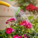 thumbnail image 4 of 2Pcs Watering Can Sprinkler Head Replaceable Water Can Watering Head Bonsai Watering Nozzle Tool, 4 of 4