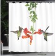 thumbnail image 4 of Ambesonne Hummingbirds Shower Curtain, Hummingbird Nectar Sip, 69"Wx84"L, Red Black Green, 4 of 5