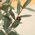 thumbnail image 3 of 5ft Fake Olive Tree with Oval White Planter, Artificial Olive Plants with Realistic Leaves and Natural Trunk, Big Fake Plants for Home Decor, 3 of 8