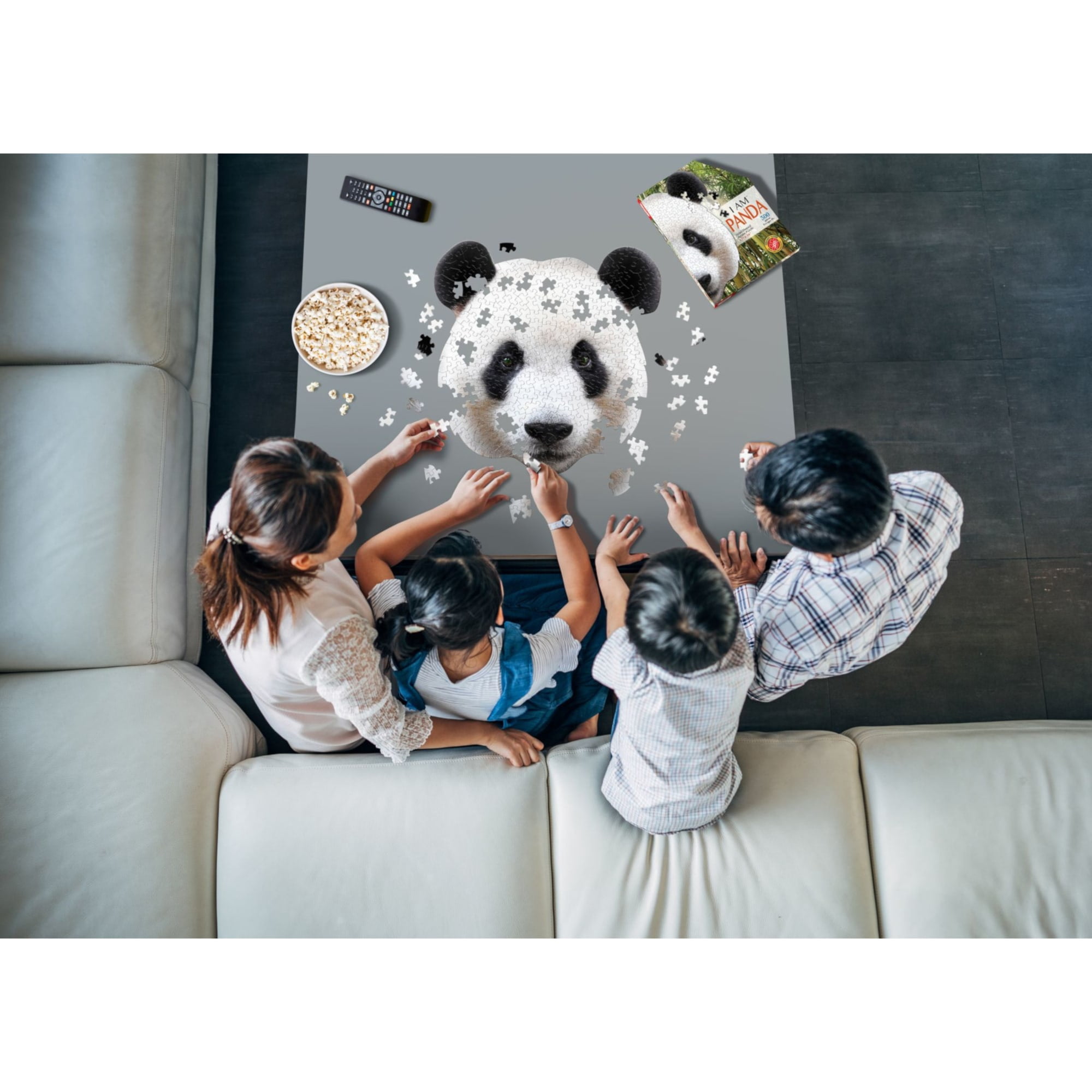Madd Capp PANDA 300 Piece Jigsaw Puzzle For Ages 10 and up - 6014 - Unique-Shaped Border, Challenging Random Cut, Deluxe Five-Sided Box Fits on Bookshelf, Includes Educational Madd Capp Fun Facts