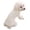 White, variant on Dog Sports Shirt, Pet Athletic Wear, Cable Knit Dog Sweater - Fuchsia, Comfortable Dog Apparel For Small Medium Dogs, Daily Wear, Outdoor Activities, Indoor Relaxation