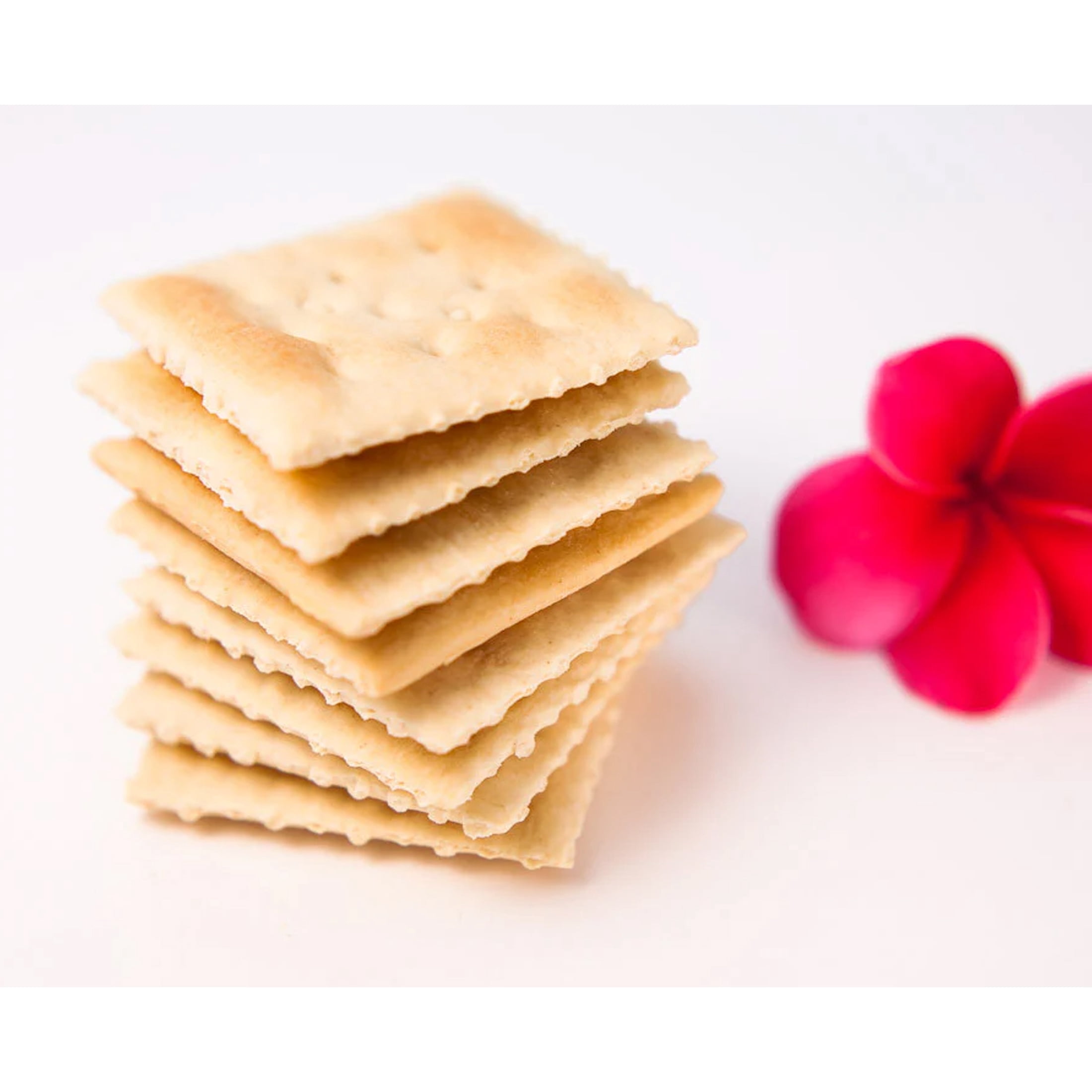 Diamond Bakery Low Sodium Soda Crackers, 13 Oz.