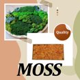 thumbnail image 3 of Bearachild Musgo Artificial de flores preservadas, Color sólido sintético, reemplazo de bricolaje de larga duración, liquen de césped, accesorio de Plantas Artificiales Naranja Bearachild HA084267-02, 3 of 6