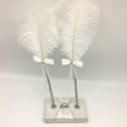thumbnail image 2 of Pen Holder,Decoration Supplies Book Feather Pen With Set Decoration Supplies Pen Feather Pen Man Liday Me Decorations Led Outdoors Led Outdoors New Led Man Liday New Year Party 5 Ft Led Dsfen, 2 of 5
