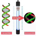 thumbnail image 4 of Hakelai Uv Germicidal Lamp Fish Tank Germicidal Lamp Sterilization Lamp Uv Ultraviolet Disinfection Lamp Algae Removal Disinfection Lamp, 4 of 5
