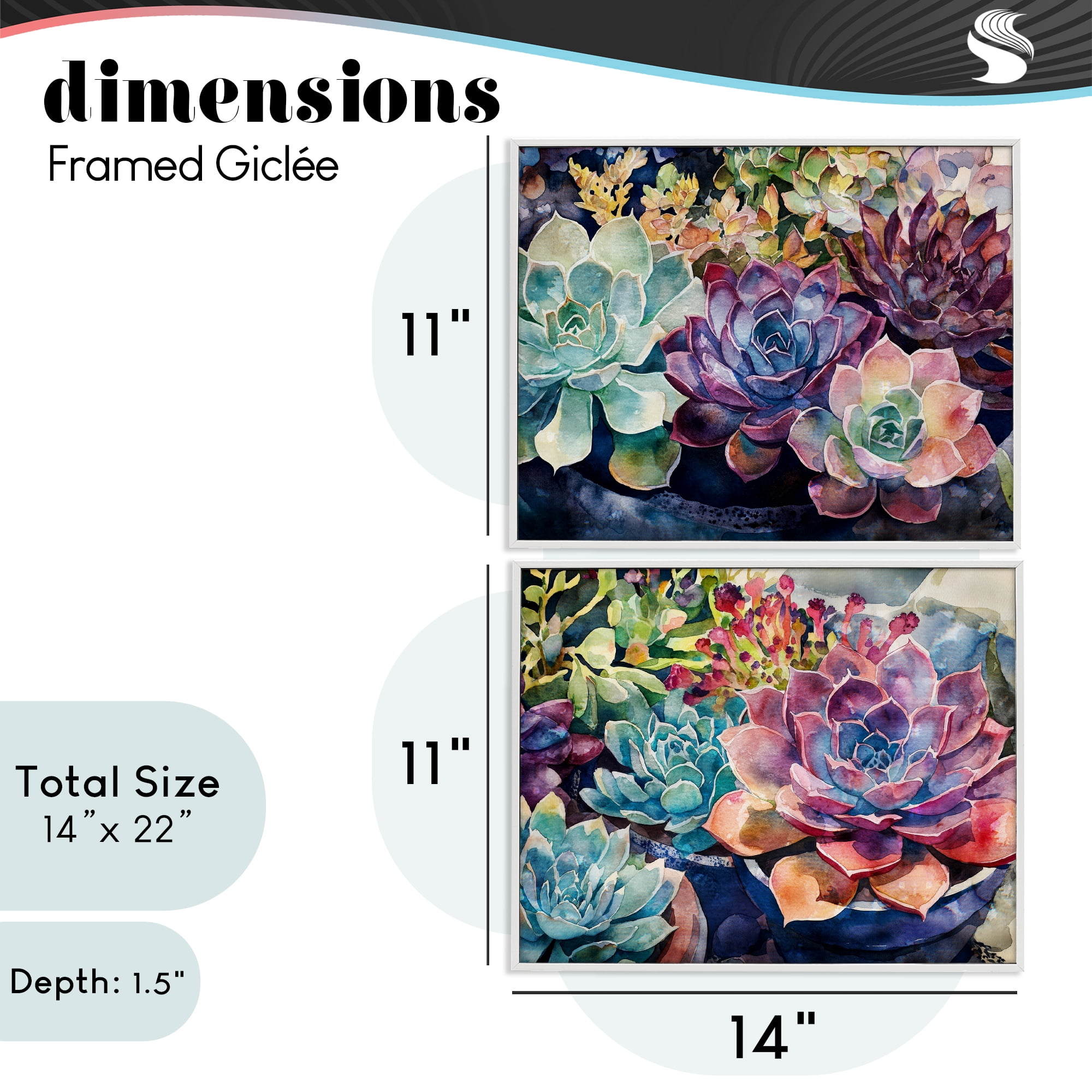 Stupell Industries Sunny Watercolor Succulents 2 Piece White Framed Giclee Art Set, design by Svetlana Aleynikova