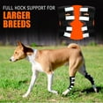 thumbnail image 2 of NeoAlly Dog Hind Leg Brace [Long Version] Canine Rear Leg Support with Safety Reflective Straps for Joint Injury, Sprain Protection, Wound Healing and Loss of Stability from Arthritis (Black XS Pair), 2 of 9