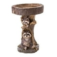 thumbnail image 2 of Estatuilla de estatua de mapache, cuenco de baño para pájaros de jardín, comedero de resina para pájaros silvestres, bebida, balcón, barandilla, exter, 2 of 8