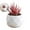 E, variant on Dvruxg Succulent Plants Artificial with Pot Small Fake Potted Plants Artificial Decor Faux Plants for Living Room Bedroom Office Desk Bookshelf Bathroom Decor Artificial Plants