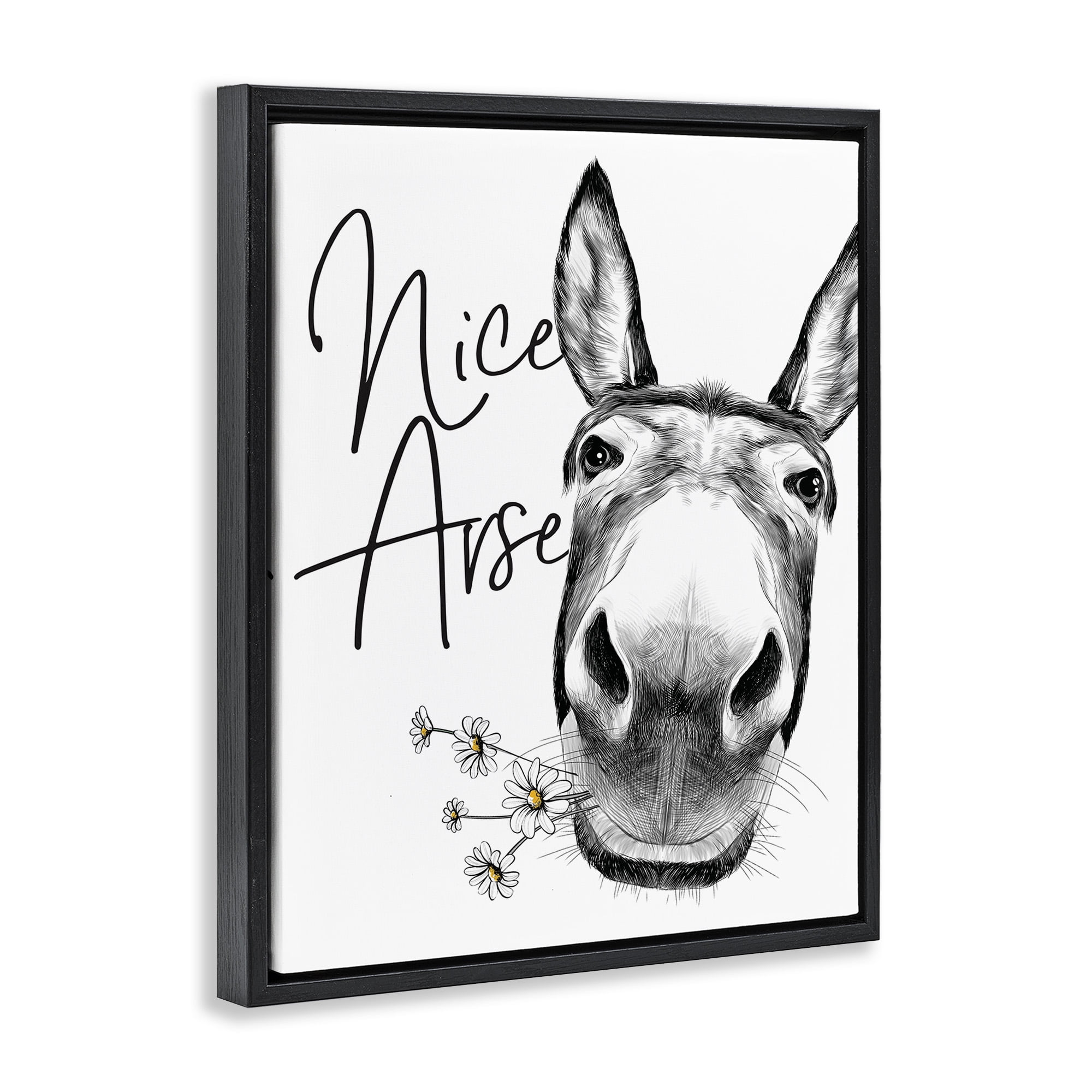 Stupell Industries Nice Arse Donkey Pun Animals & Insects Painting Black Floater Framed Canvas Art Print Wall Art, 17 x 21