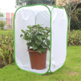 thumbnail image 1 of Insect and Butterfly Habitat Cage Terrarium Pop-Up 23.6 Inches Tall Plant Nursery Box C, 1 of 9