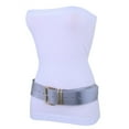 thumbnail image 6 of Women Fashion Belt Hip Waist Shiny Silver Faux Leather Gold Metal Buckle Plus Size, 6 of 9