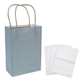 thumbnail image 2 of Fun Express Kraft Paper Gift Bags & White Tissue Paper Kit Assortment May Vary, Medium Silver, 6 1/2" x 9", 2 of 3