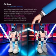 Smart Bionic Robot Toy for Kids, Gesture Sensing & Remote Control RC Robot, STEM Programmable Interactive Robot, Educational Toy for Boys Girls