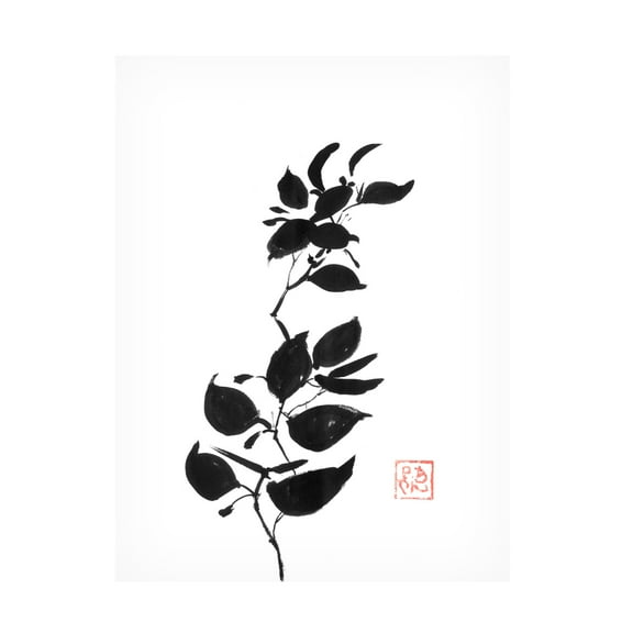 Canvas Wall Art - Pechane 'Japanses Branch' Wall Art for Living Room, Bedroom, or Office Décor by Trademark Fine Art - 14 x 19 Inches