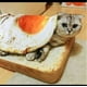 thumbnail image 2 of Cama para gatos/perrera, cama de descanso para mascotas, divertida manta de cojín para sofá de cachorro de felpa, alfombra para mascotas para interiores y exteriores, 2 of 4