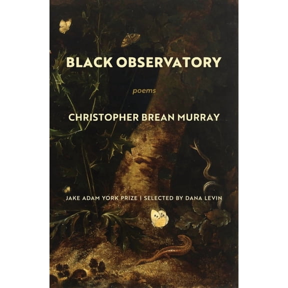 Black Observatory: Poems (Paperback)