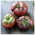 thumbnail image 2 of Everwilde Farms - 1/4 lb Black Brandywine Heirloom Tomato Seeds - Gold Vault Bulk Seed Packet, 2 of 3