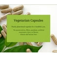 thumbnail image 3 of Bowel Regularity Natural Herbal Supplement for Constipation Comfort, 3 of 3