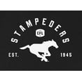 thumbnail image 2 of CFL Calgary Stampeders EST Black Medium T-Shirt, 2 of 4